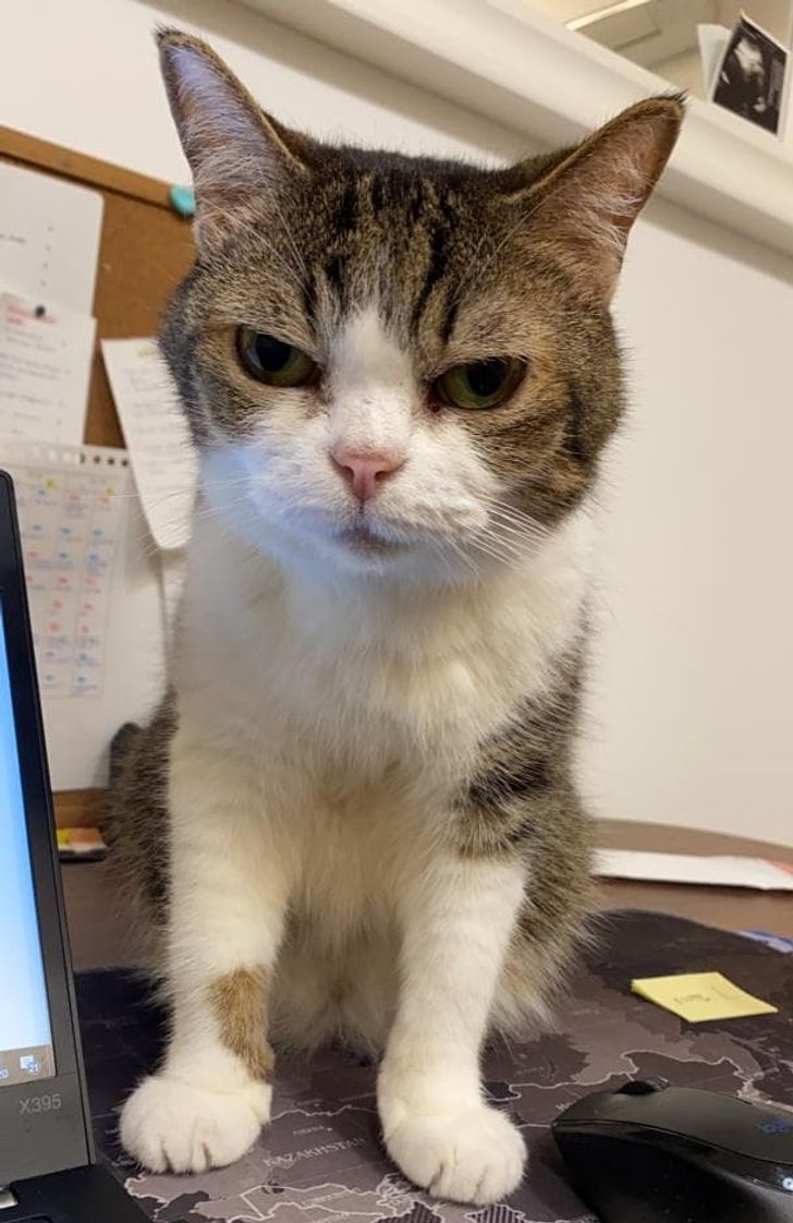 31489653fba974f5996b9411de