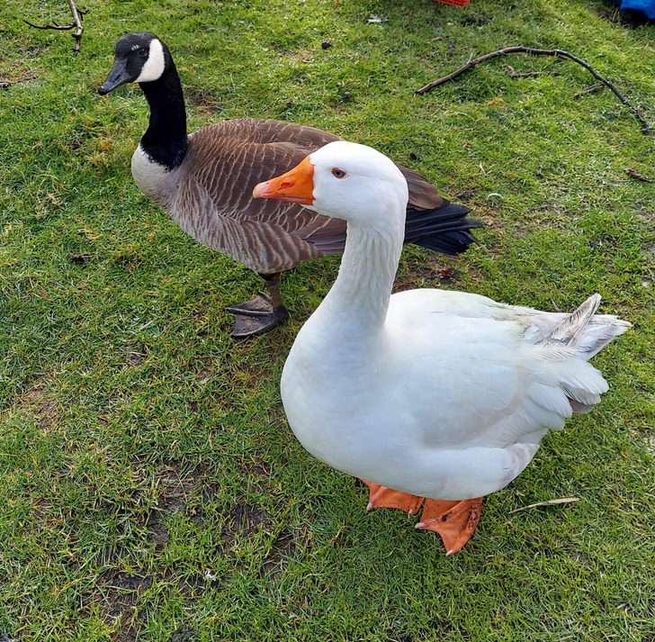 314b195bc89a79f65a3121e207