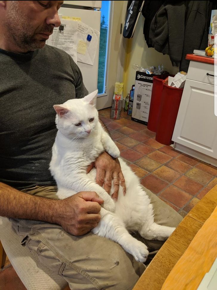 31542153e3a3e28bebb5b11853