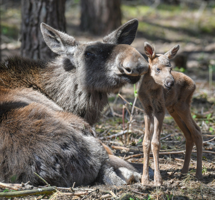 3155b1527f8897dedd9c9b02ee