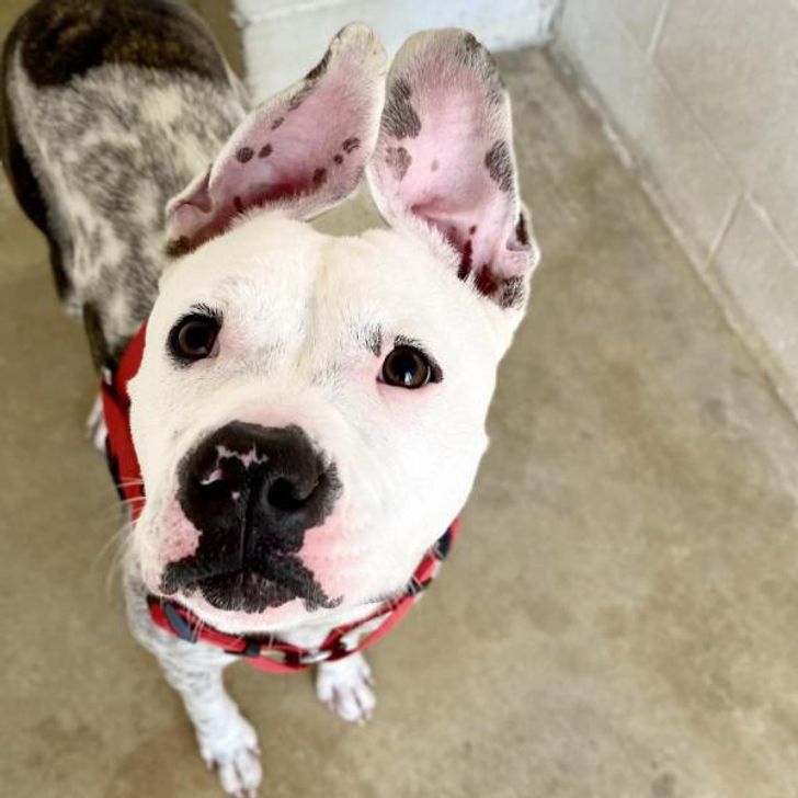 315f345773ac61c49b497d6990