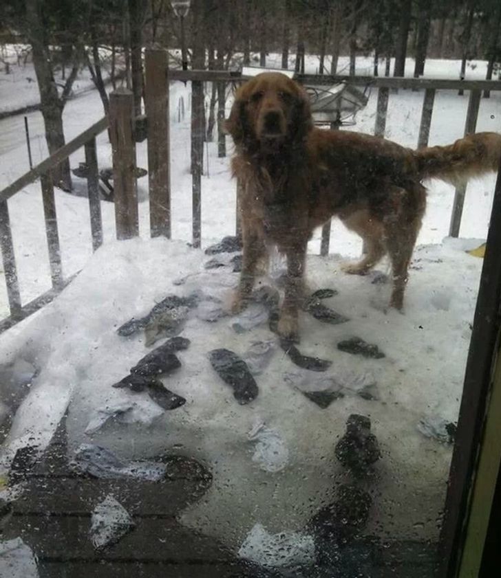 31620a5cf5bd601df11b12a269