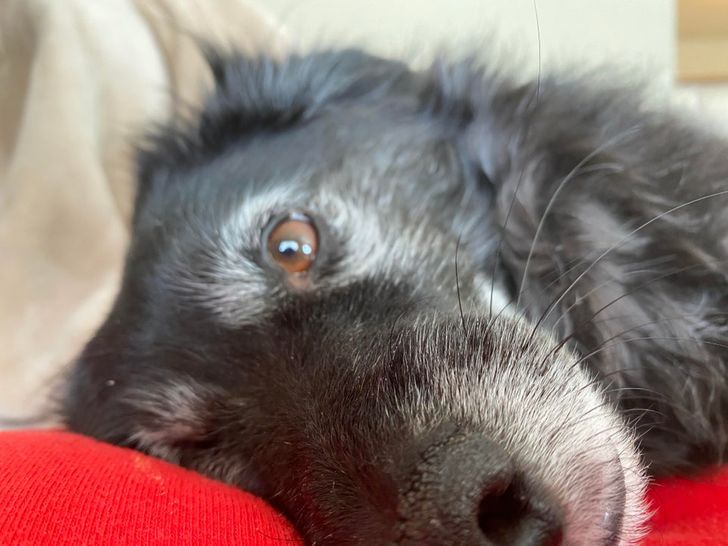 31696a5b259fce0e9859829e84