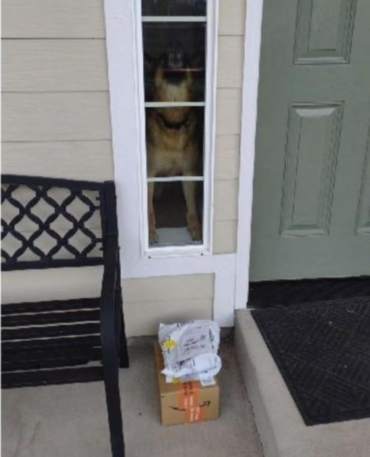 316a0850d0ad90abbf9fe2e972 316a0850d0ad90abbf9fe2e972