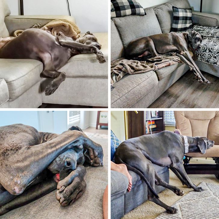 3172925b079aca0f80062e1177