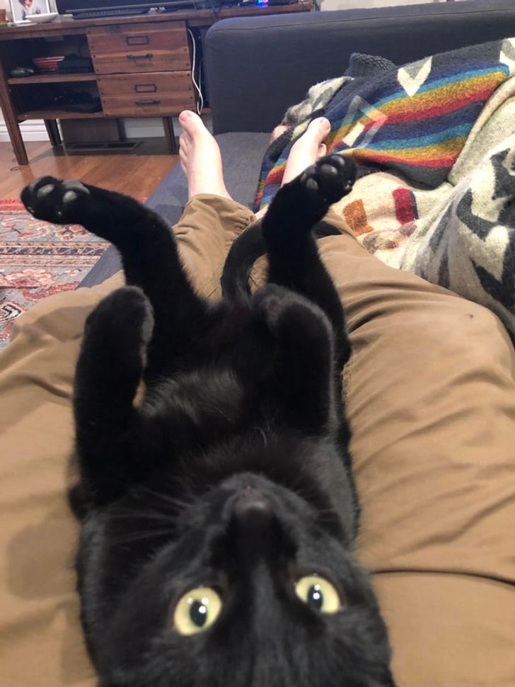 3172d35393a218aa4c5ac81bb1