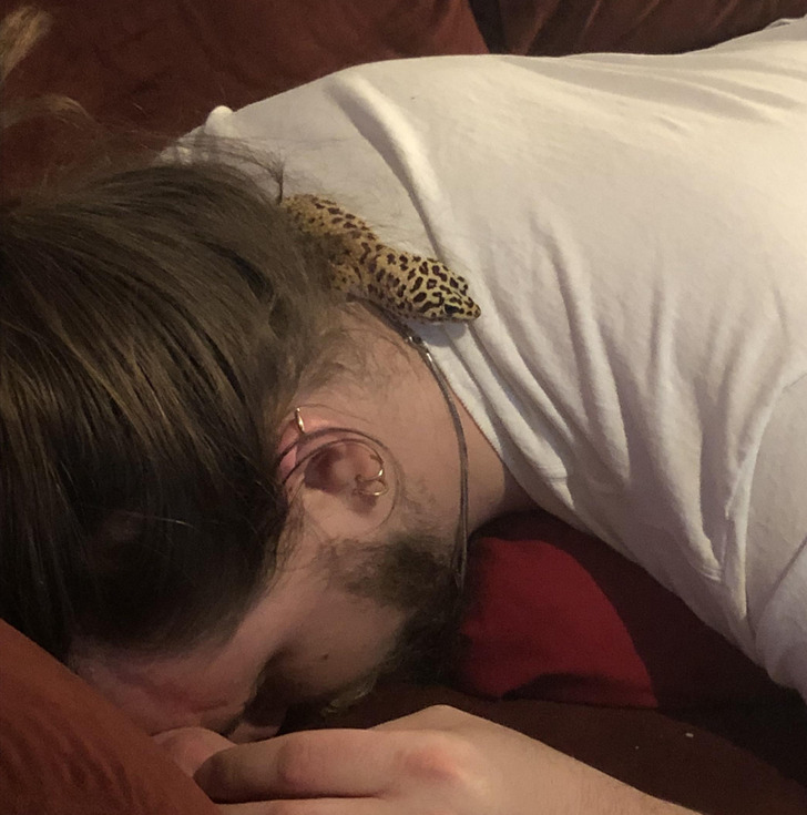 3174025dc891800c39883904c7 3174025dc891800c39883904c7