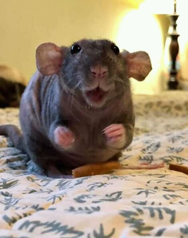 3179475037a74b94cb38826f68