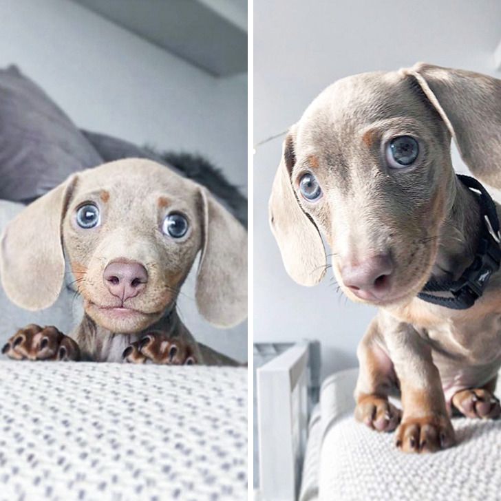 317cdb598996eb0546b380ebb2