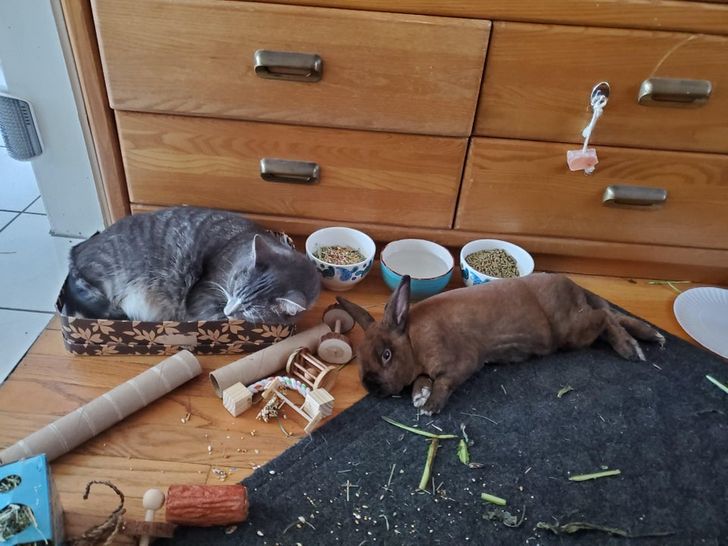 31855f5183ab73fc4b64a565f6