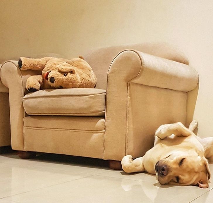 31877e531dbe0c45bb9a76d27b