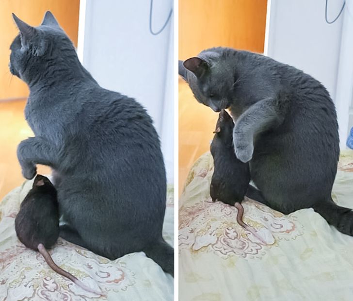 318b515e259f90dbdf76a8cf79