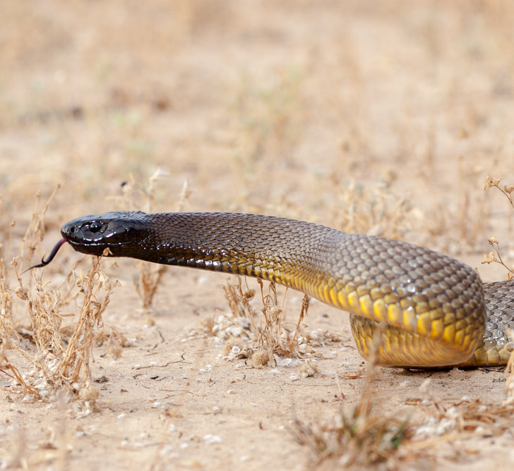 318ee15e8fac2ce455ce5d7cd4