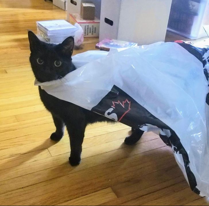 3190bf5735a54562823463f451