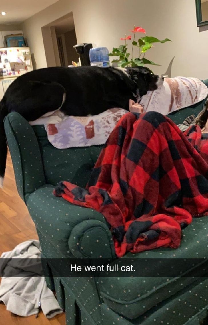 3192dc50569259087e1d80d5ab