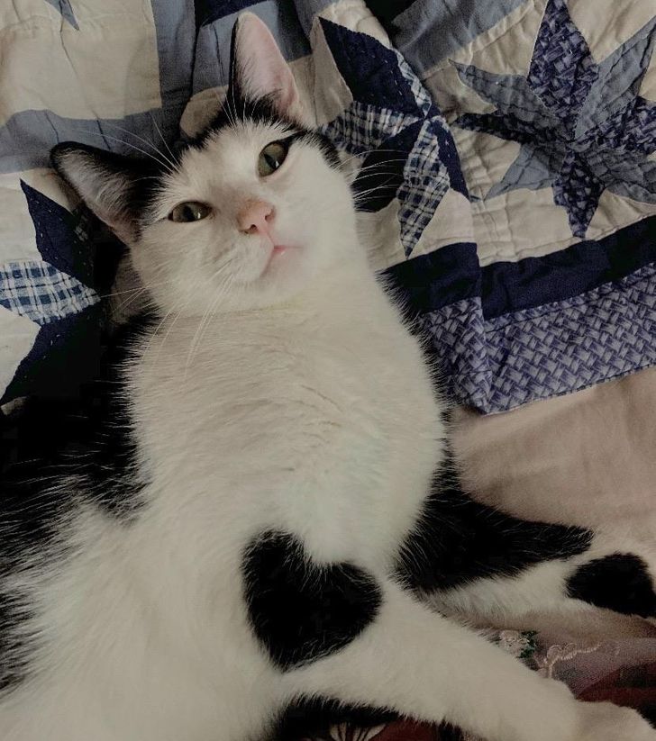 3197975382a7ab6f435e0d0d10