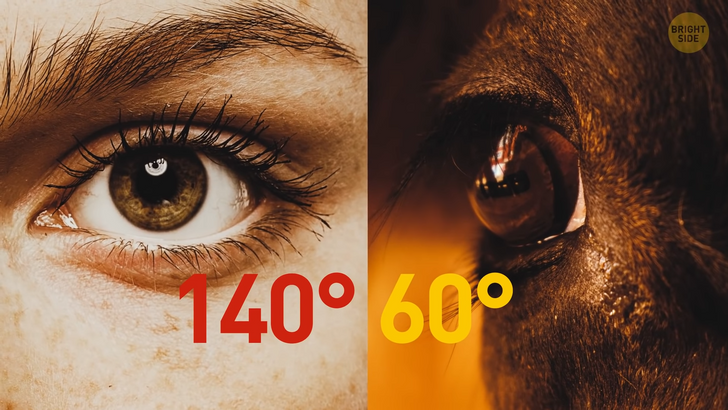 319c24524f8e22e32685d70efc