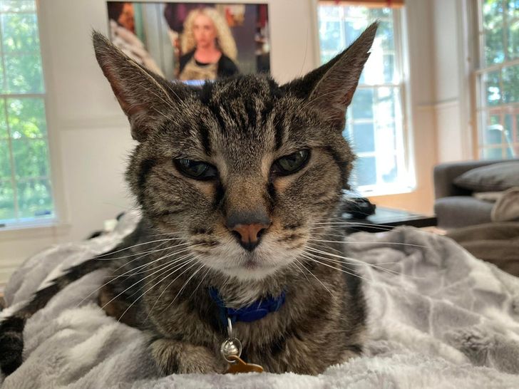 319c67577f8e764dce3ca9de76