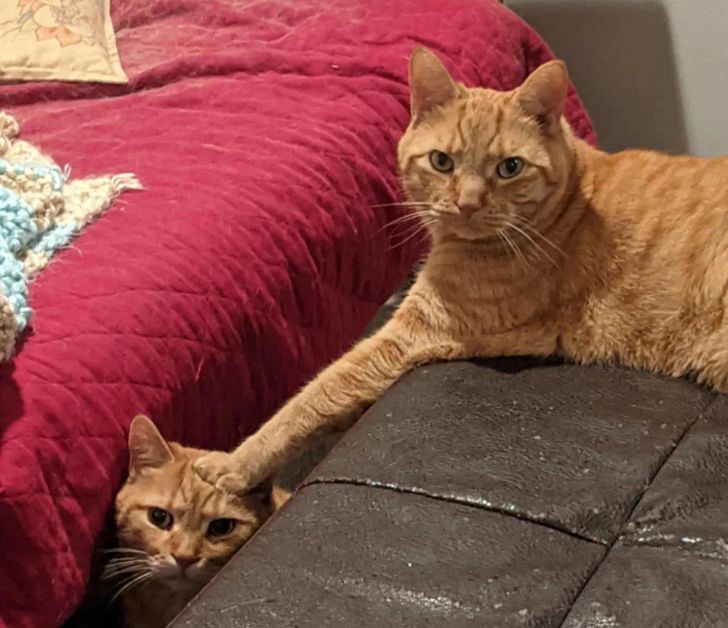 319cbe56c9b303be77f056e8f4