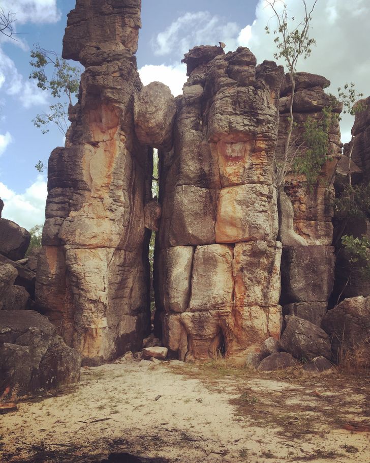 31a5cf5d6caa942f3de4adbf51