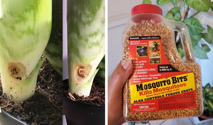 31a5f656ae8963678d010f6b22