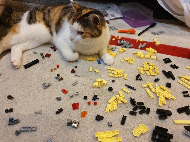 31b23d5351a6c465380e4d3481