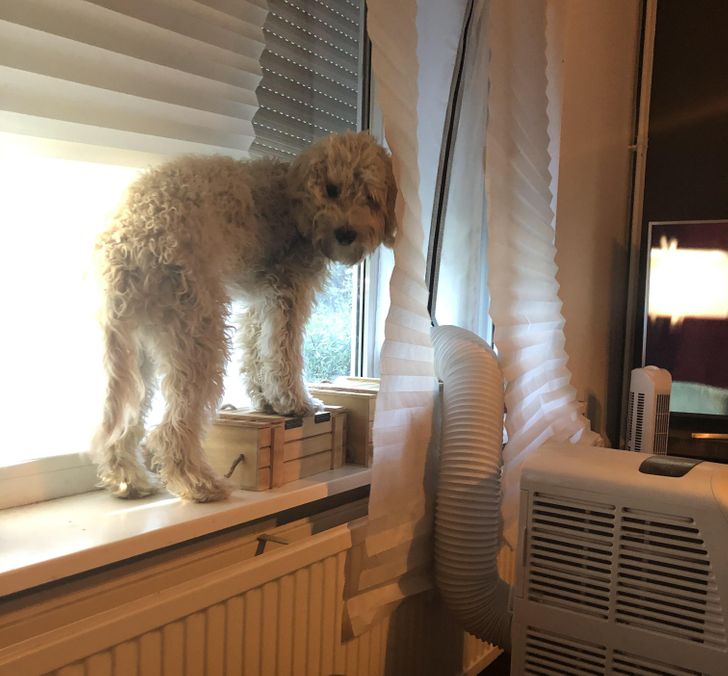 31bc775c63918d4672094a5785