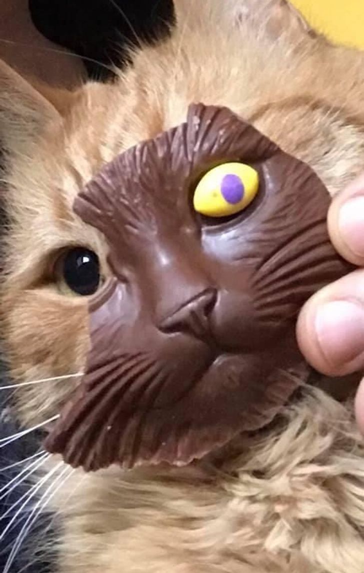 31bfe8557d8ea50cc49ec3ec68