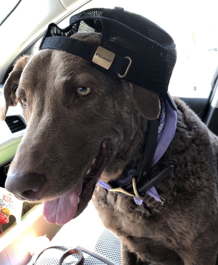 31c0205ed0b57fa07369beabe6