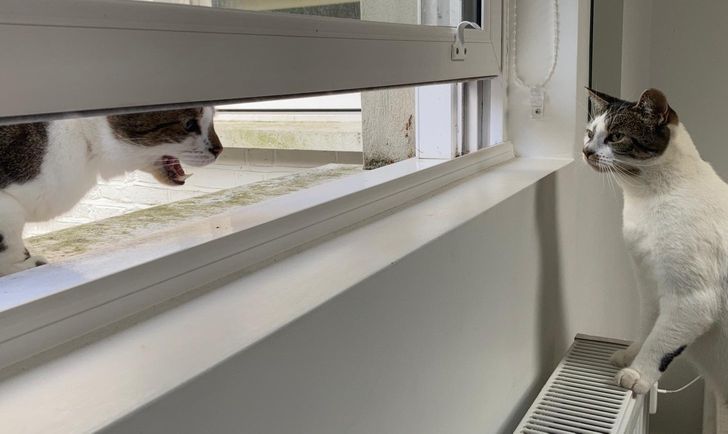 31c93e58c889f0978c16da30ad