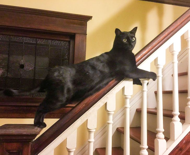 31c9ab5c3190b596befe04a7b4