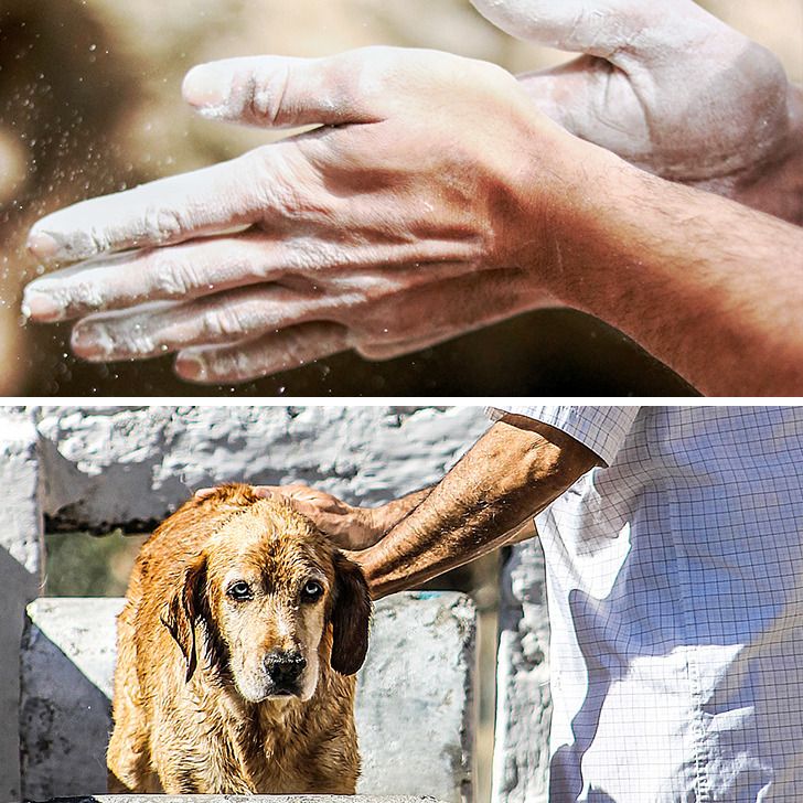 31cd1457a09b247350fc4a88a9