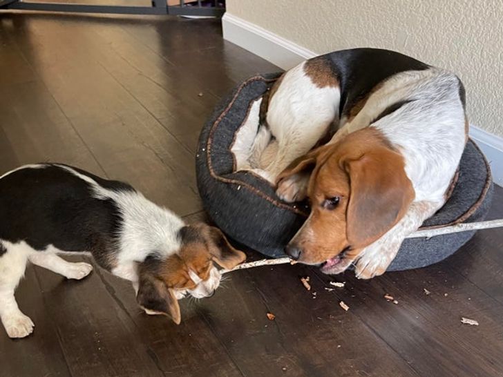 31d13953eabc91fe3de1af8ef0