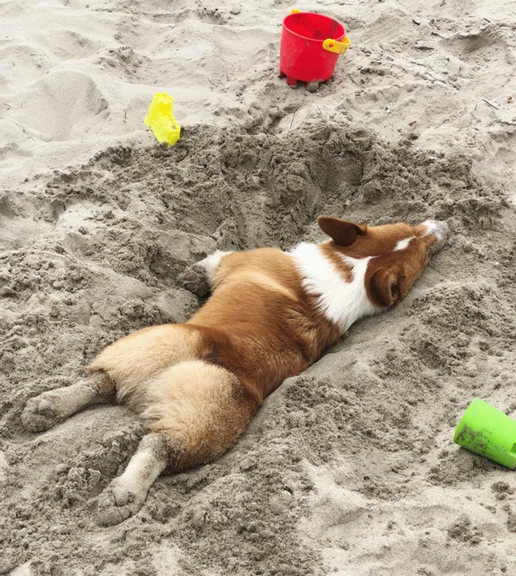 31d8cb520788ea0f89f6631ef4