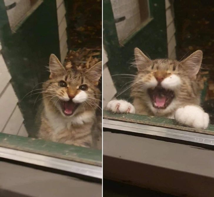 31e22c5571b91daee73cacec71