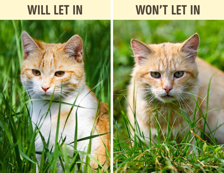 31e854552c84ed98786471d97d