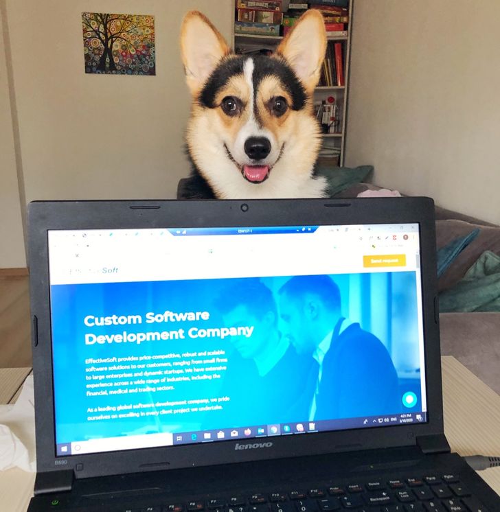 31eaa257b8bdf16567761aa718