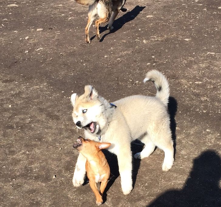 31f21053dcb42298636273d525