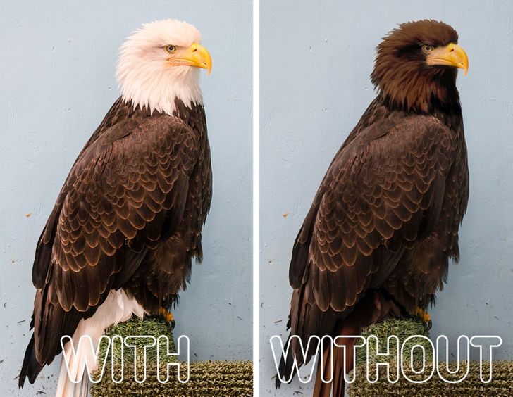 31f52a52c2abe986b40064f642