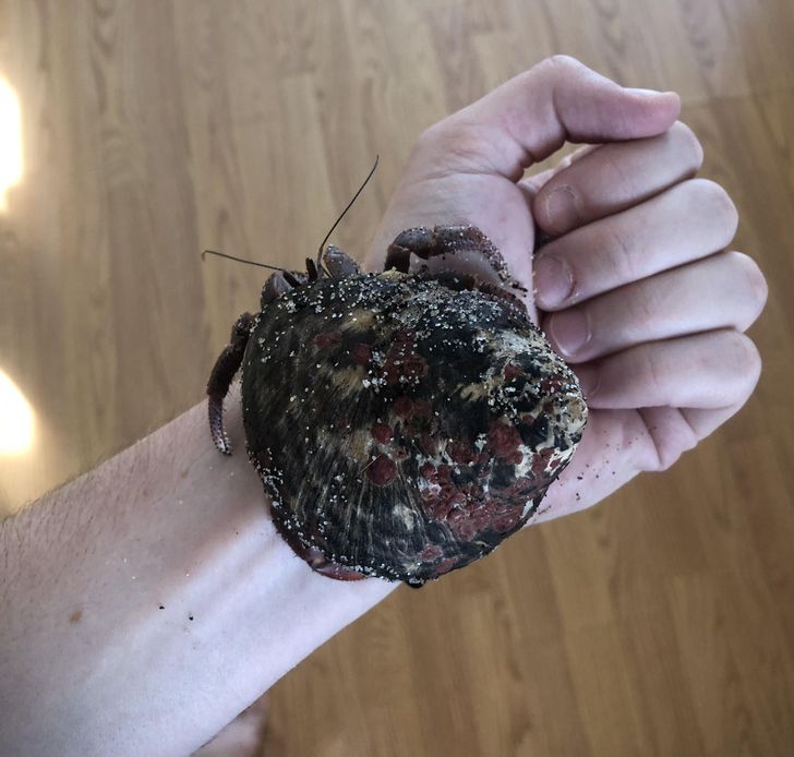 31f6675463af3c9047c0d275a6