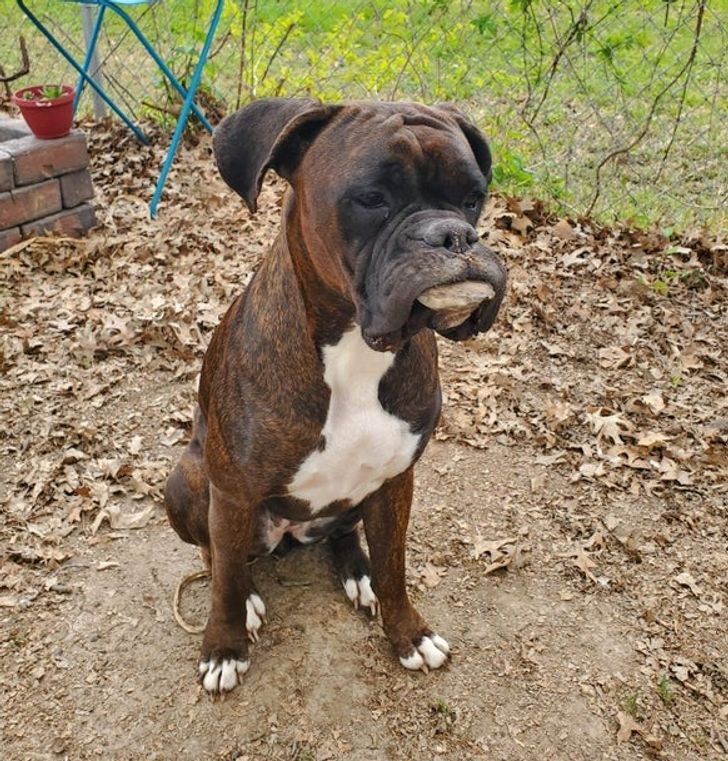 31fefe5f1dbe22b2bf77d6cd58