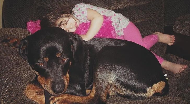 32058956ce884c152fdc96dffb