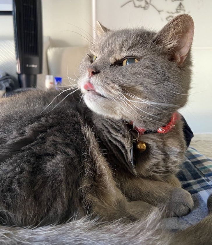 3205e652f1ac1a6dc71defc37b