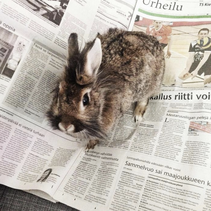 3206405b23a5e84dfdce6c8197