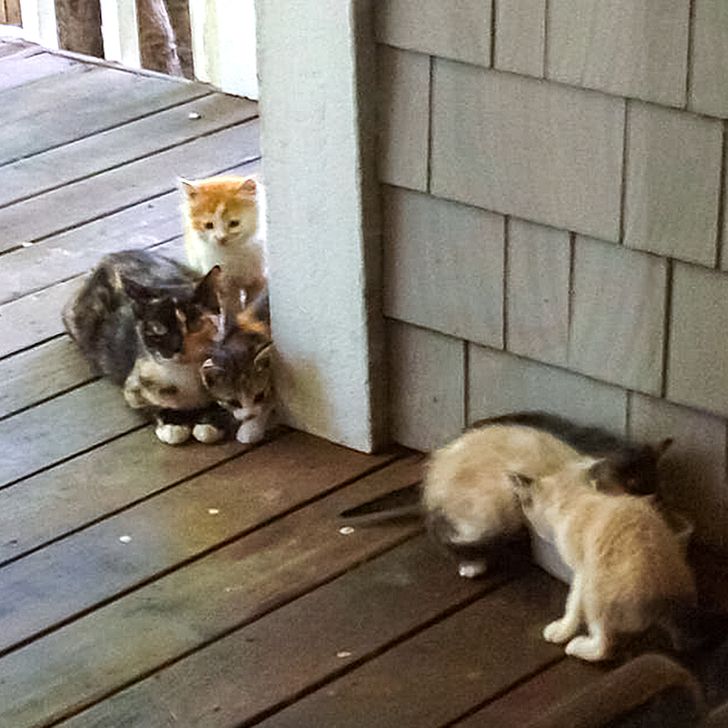 3206d850b78c63abb23963bfd4