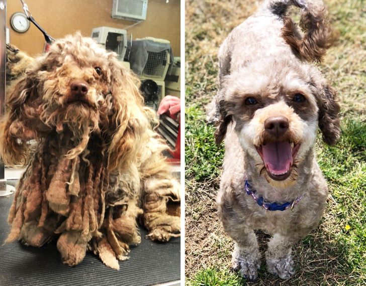 32087e545c993de2f8769f959b