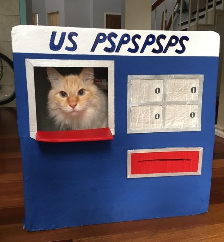 320d935752bf9a281d5e30da3c