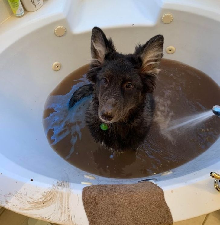 3211de5f64a8fdfb45c50b097e