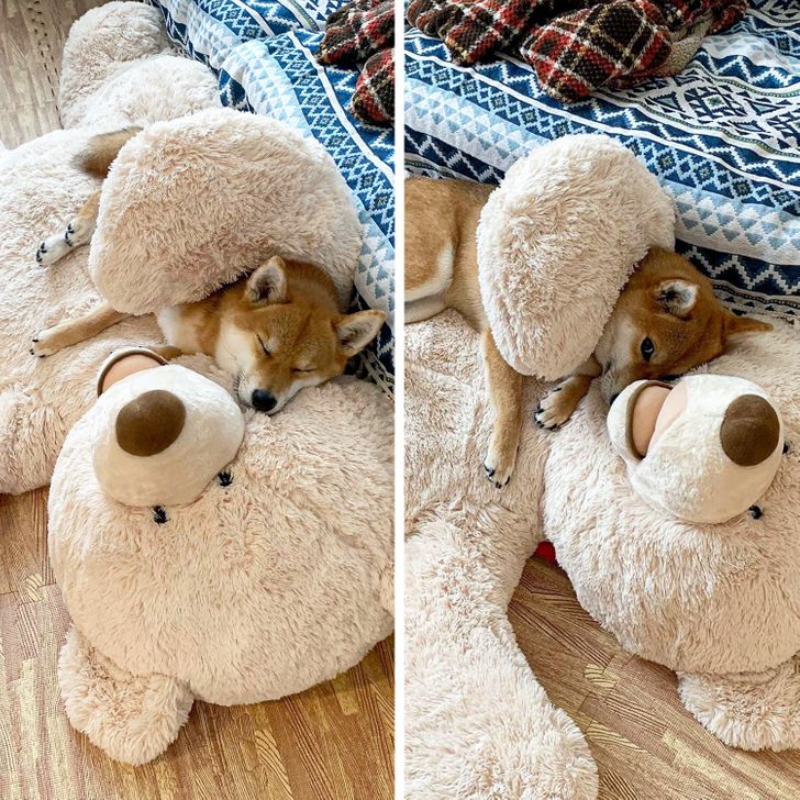 32184d516fb5b41b0281ce2a16