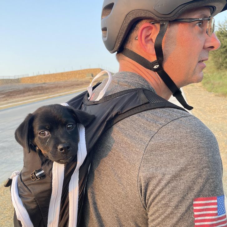 3219c650af9f19fae32f96a80e